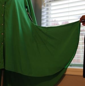 Beautiful long green button down tunic